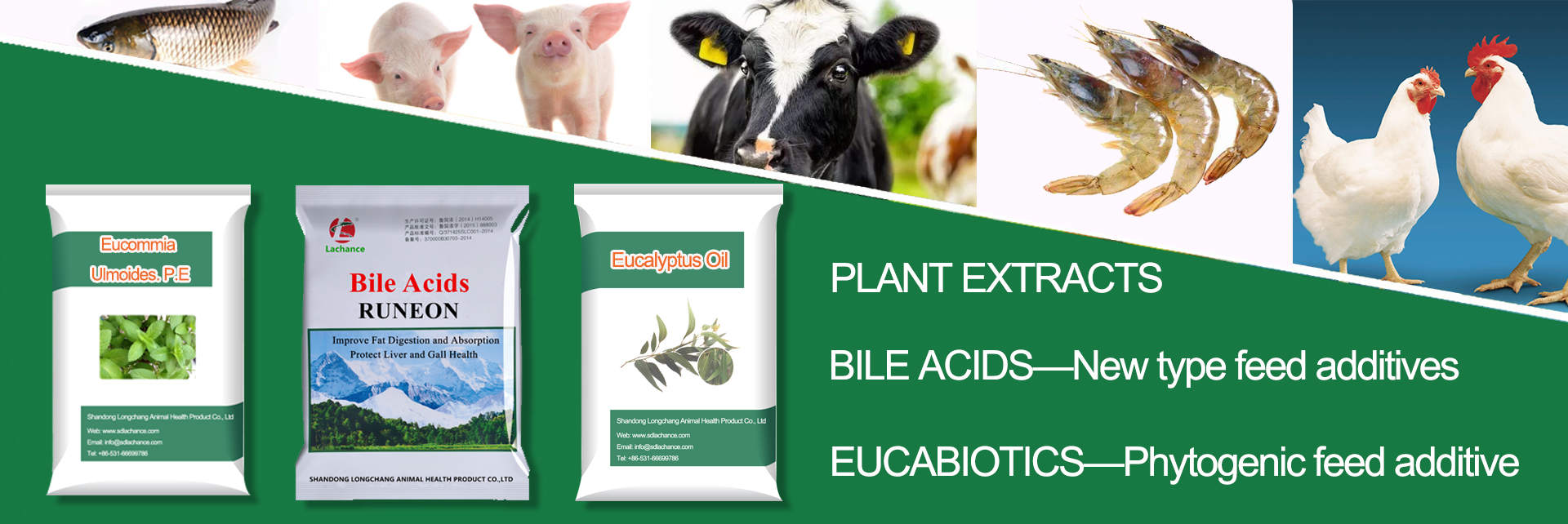 BILE ACIDS-New type feed additives - LACHANCE Bile Acids feed additive,Replace fat energy